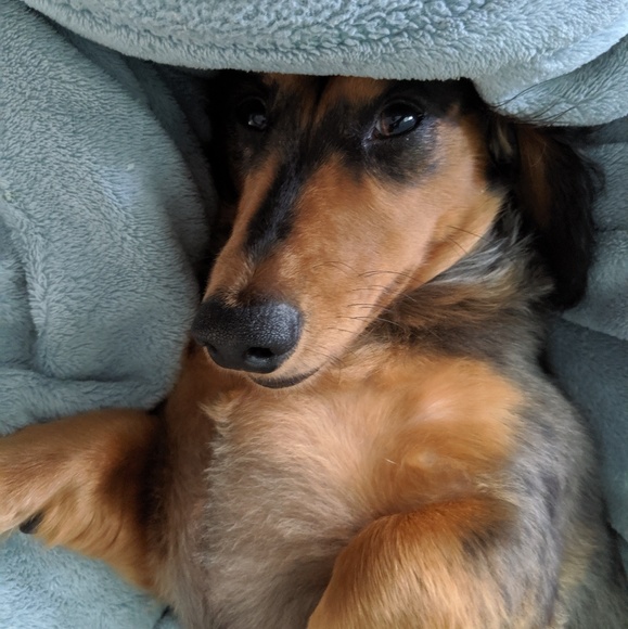 Meet your Posher, Nicole - Picture 2 of 6